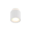 Walisa Plafondlamp White/Frosted - Arcchio - Koop Online -Verlichting Opslag 42510965884601