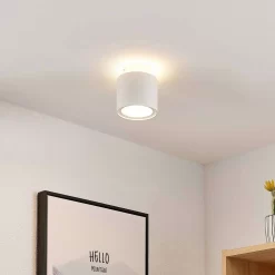 Walisa Plafondlamp White/Frosted - Arcchio - Koop Online -Verlichting Opslag 42510965884603