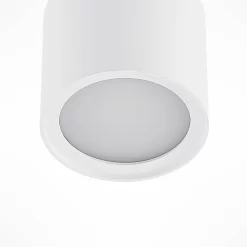 Walisa Plafondlamp White/Frosted - Arcchio - Koop Online -Verlichting Opslag 42510965884606