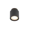 Walisa Plafondlamp Black/Frosted - Arcchio - Koop Online -Verlichting Opslag 42510965884771