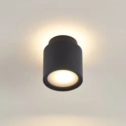 Walisa Plafondlamp Black/Frosted - Arcchio - Koop Online -Verlichting Opslag 42510965884775
