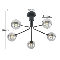 Wynina 5 Plafondlamp Black/Smoke - Lucande - Koop Online -Verlichting Opslag 42519117044714