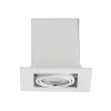 Taneja Ingebouwd Spot White - Arcchio - Koop Online -Verlichting Opslag 42519117080971