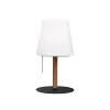Northern Light Taffellamp Wood/Opal - Colors - Koop Online -Verlichting Opslag 57056398007041