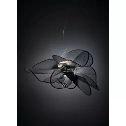 La Belle Etoile Hanglamp S Transparent/Black - Slamp - Koop Online -Verlichting Opslag 80247270913034