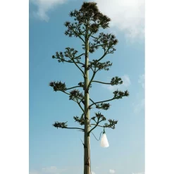 Mayday Outdoor Mustard Yellow - Flos - Koop Online -Verlichting Opslag 8200900094869mayday f038aaba0zz mustardyellow4